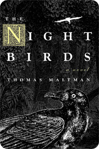 Night Birds